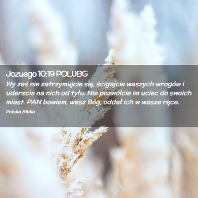 Picture 02 - Jozuego 10:19 POLUBG - Wy zaś nie zatrzymujcie się, ścigajcie waszych - Bible Verse Picture