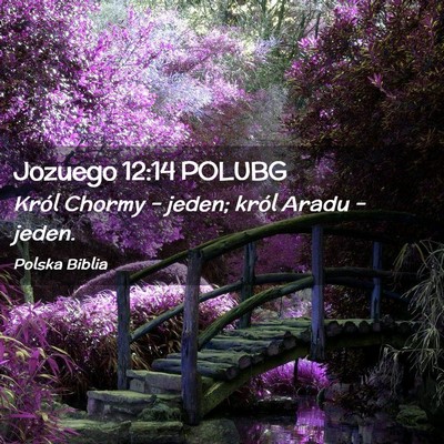 Picture 02 - Jozuego 12:14 POLUBG - Król Chormy – jeden; król Aradu – - Bible Verse Picture