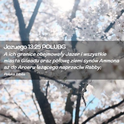 Picture 02 - Jozuego 13:25 POLUBG - A ich granice obejmowały Jazer i wszystkie - Bible Verse Picture