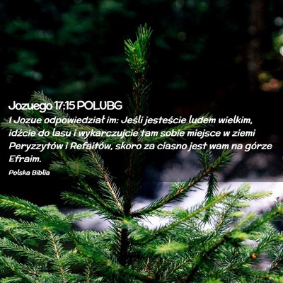 Picture 02 - Jozuego 17:15 POLUBG - I Jozue odpowiedział im: Jeśli jesteście ludem - Bible Verse Picture