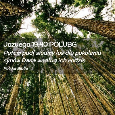 Picture 02 - Jozuego 19:40 POLUBG - Potem padł siódmy los dla pokolenia synów Dana - Bible Verse Picture