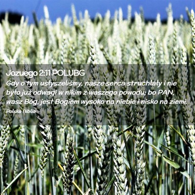 Picture 02 - Jozuego 2:11 POLUBG - Gdy o tym usłyszeliśmy, nasze serca struchlały - Bible Verse Picture