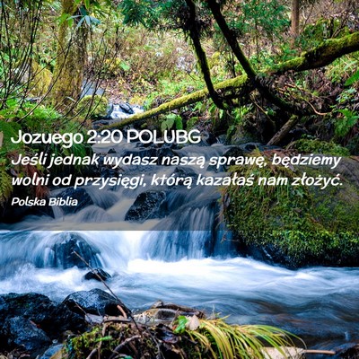 Picture 02 - Jozuego 2:20 POLUBG - Jeśli jednak wydasz naszą sprawę, będziemy - Bible Verse Picture