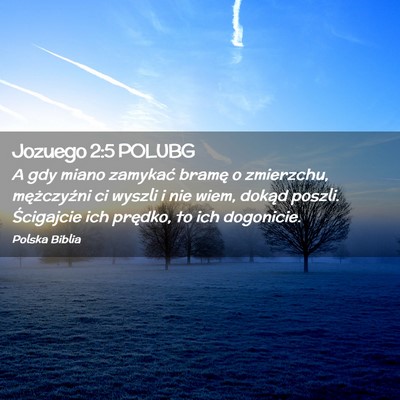 Picture 02 - Jozuego 2:5 POLUBG - A gdy miano zamykać bramę o zmierzchu, - Bible Verse Picture