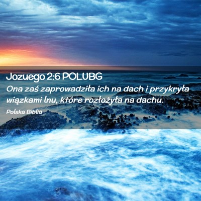 Picture 02 - Jozuego 2:6 POLUBG - Ona zaś zaprowadziła ich na dach i przykryła - Bible Verse Picture