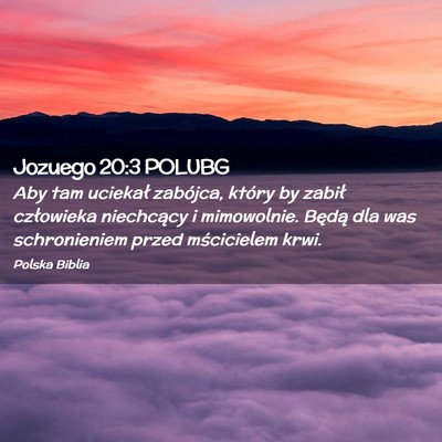 Picture 02 - Jozuego 20:3 POLUBG - Aby tam uciekał zabójca, który by zabił - Bible Verse Picture