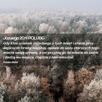 Picture 02 - Jozuego 20:4 POLUBG - Gdy ktoś ucieknie do jednego z tych miast i - Bible Verse Picture