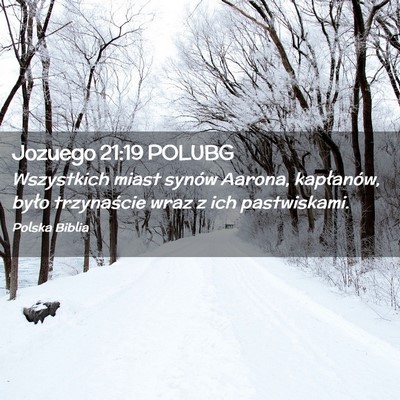 Picture 02 - Jozuego 21:19 POLUBG - Wszystkich miast synów Aarona, kapłanów, było - Bible Verse Picture