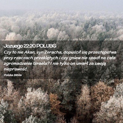 Picture 02 - Jozuego 22:20 POLUBG - Czy to nie Akan, syn Zeracha, dopuścił się - Bible Verse Picture