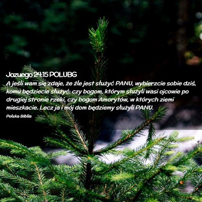 Picture 02 - Jozuego 24:15 POLUBG - A jeśli wam się zdaje, że źle jest służyć - Bible Verse Picture