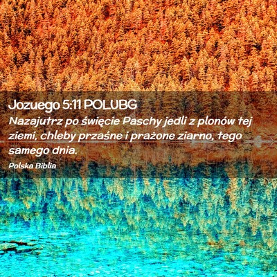 Picture 02 - Jozuego 5:11 POLUBG - Nazajutrz po święcie Paschy jedli z plonów tej - Bible Verse Picture