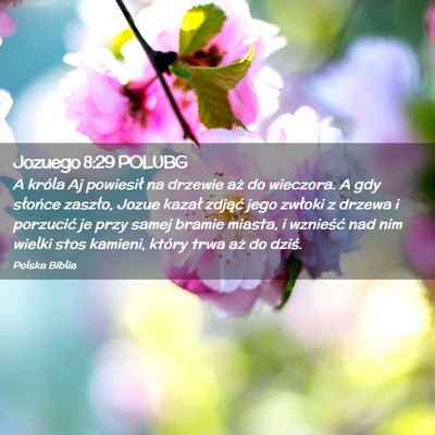 Picture 02 - Jozuego 8:29 POLUBG - A króla Aj powiesił na drzewie aż do wieczora. - Bible Verse Picture