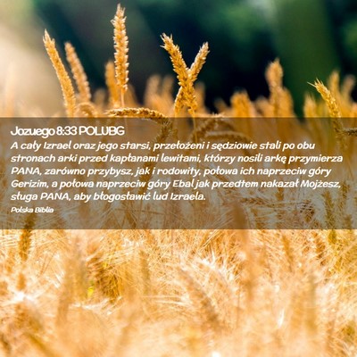 Picture 02 - Jozuego 8:33 POLUBG - A cały Izrael oraz jego starsi, przełożeni i - Bible Verse Picture