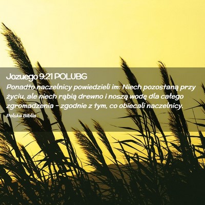 Picture 02 - Jozuego 9:21 POLUBG - Ponadto naczelnicy powiedzieli im: Niech - Bible Verse Picture