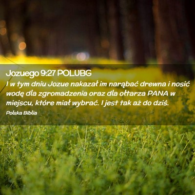 Picture 02 - Jozuego 9:27 POLUBG - I w tym dniu Jozue nakazał im narąbać drewna i - Bible Verse Picture