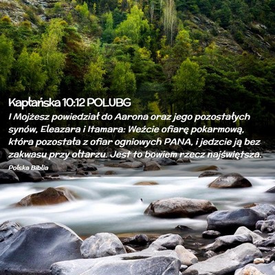 Picture 02 - Kapłańska 10:12 POLUBG - I Mojżesz powiedział do Aarona oraz jego - Bible Verse Picture