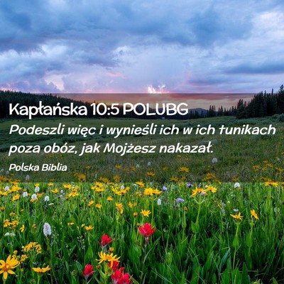 Picture 02 - Kapłańska 10:5 POLUBG - Podeszli więc i wynieśli ich w ich tunikach - Bible Verse Picture