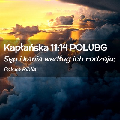 Picture 02 - Kapłańska 11:14 POLUBG - Sęp i kania według ich - Bible Verse Picture