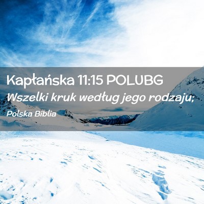 Picture 02 - Kapłańska 11:15 POLUBG - Wszelki kruk według jego - Bible Verse Picture