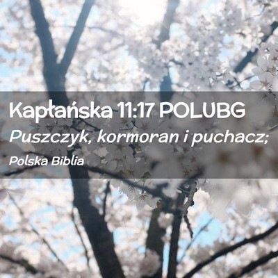 Picture 02 - Kapłańska 11:17 POLUBG - Puszczyk, kormoran i - Bible Verse Picture