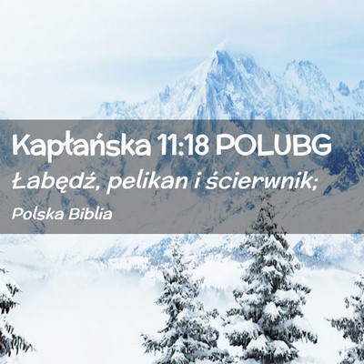 Picture 02 - Kapłańska 11:18 POLUBG - Łabędź, pelikan i - Bible Verse Picture