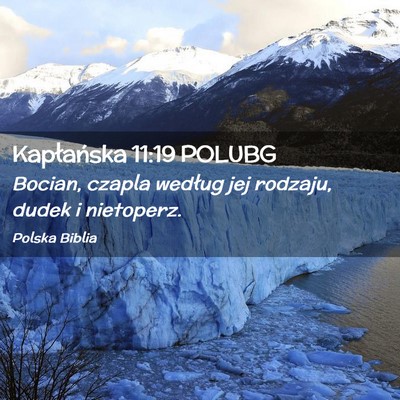 Picture 02 - Kapłańska 11:19 POLUBG - Bocian, czapla według jej rodzaju, dudek i - Bible Verse Picture