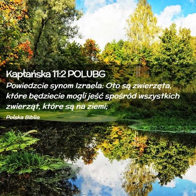 Picture 02 - Kapłańska 11:2 POLUBG - Powiedzcie synom Izraela: Oto są zwierzęta, - Bible Verse Picture