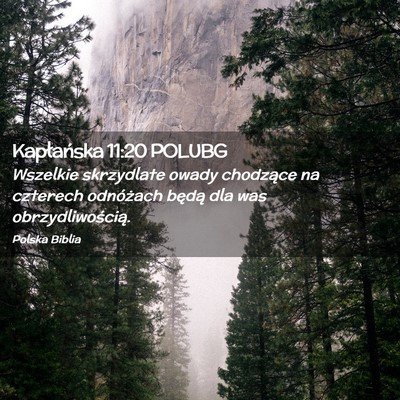 Picture 02 - Kapłańska 11:20 POLUBG - Wszelkie skrzydlate owady chodzące na czterech - Bible Verse Picture