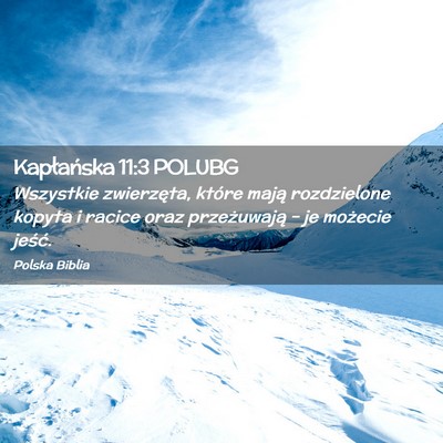 Picture 02 - Kapłańska 11:3 POLUBG - Wszystkie zwierzęta, które mają rozdzielone - Bible Verse Picture