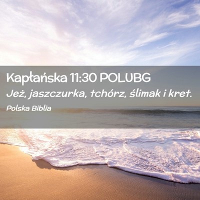 Picture 02 - Kapłańska 11:30 POLUBG - Jeż, jaszczurka, tchórz, ślimak i - Bible Verse Picture
