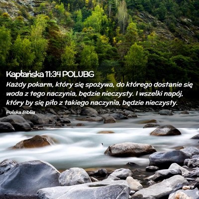 Picture 02 - Kapłańska 11:34 POLUBG - Każdy pokarm, który się spożywa, do którego - Bible Verse Picture