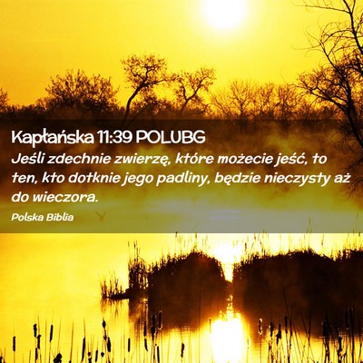 Picture 02 - Kapłańska 11:39 POLUBG - Jeśli zdechnie zwierzę, które możecie jeść, - Bible Verse Picture