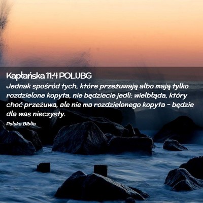 Picture 02 - Kapłańska 11:4 POLUBG - Jednak spośród tych, które przeżuwają albo - Bible Verse Picture