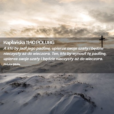 Picture 02 - Kapłańska 11:40 POLUBG - A kto by jadł jego padlinę, upierze swoje szaty - Bible Verse Picture