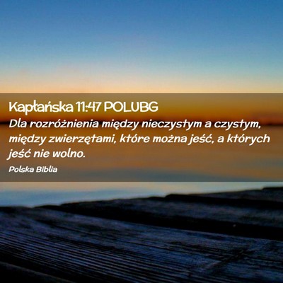 Picture 02 - Kapłańska 11:47 POLUBG - Dla rozróżnienia między nieczystym a czystym, - Bible Verse Picture