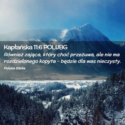 Picture 02 - Kapłańska 11:6 POLUBG - Również zająca, który choć przeżuwa, ale - Bible Verse Picture