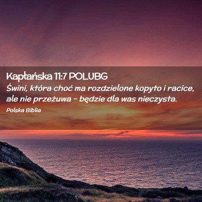 Picture 02 - Kapłańska 11:7 POLUBG - Świni, która choć ma rozdzielone kopyto i - Bible Verse Picture