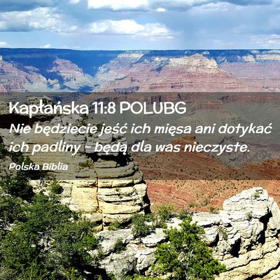 Picture 02 - Kapłańska 11:8 POLUBG - Nie będziecie jeść ich mięsa ani dotykać ich - Bible Verse Picture