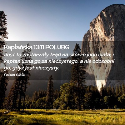 Picture 02 - Kapłańska 13:11 POLUBG - Jest to zastarzały trąd na skórze jego ciała; - Bible Verse Picture