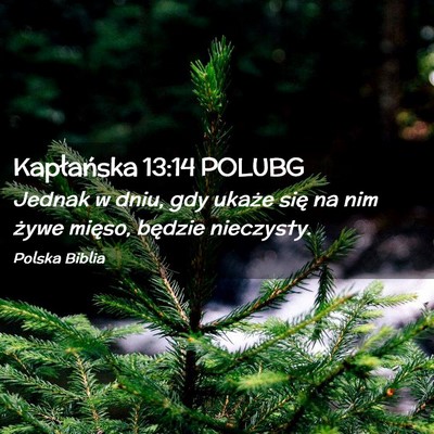 Picture 02 - Kapłańska 13:14 POLUBG - Jednak w dniu, gdy ukaże się na nim żywe - Bible Verse Picture