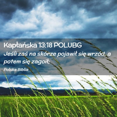 Picture 02 - Kapłańska 13:18 POLUBG - Jeśli zaś na skórze pojawił się wrzód, a - Bible Verse Picture