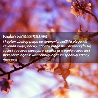 Picture 02 - Kapłańska 13:55 POLUBG - I kapłan obejrzy plagę po wypraniu. Jeśli ta - Bible Verse Picture