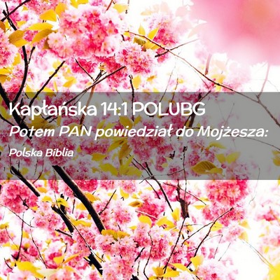 Picture 02 - Kapłańska 14:1 POLUBG - Potem PAN powiedział do - Bible Verse Picture