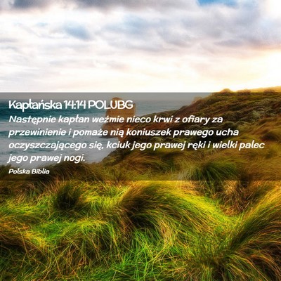 Picture 02 - Kapłańska 14:14 POLUBG - Następnie kapłan weźmie nieco krwi z ofiary za - Bible Verse Picture