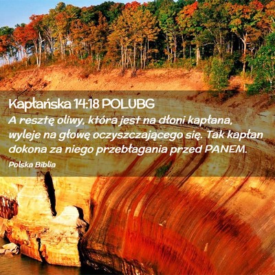 Picture 02 - Kapłańska 14:18 POLUBG - A resztę oliwy, która jest na dłoni kapłana, - Bible Verse Picture