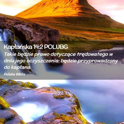 Picture 02 - Kapłańska 14:2 POLUBG - Takie będzie prawo dotyczące trędowatego w - Bible Verse Picture