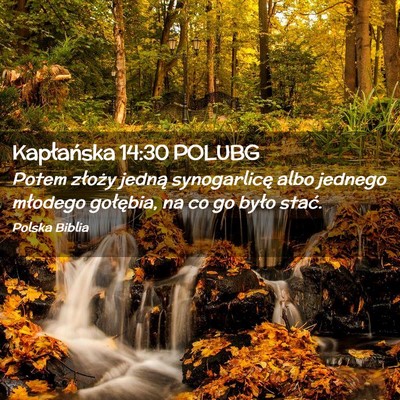 Picture 02 - Kapłańska 14:30 POLUBG - Potem złoży jedną synogarlicę albo jednego - Bible Verse Picture
