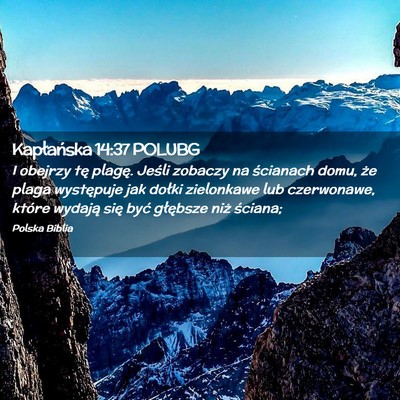 Picture 02 - Kapłańska 14:37 POLUBG - I obejrzy tę plagę. Jeśli zobaczy na ścianach - Bible Verse Picture