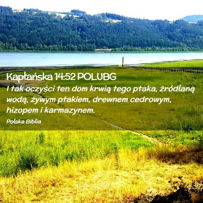 Picture 02 - Kapłańska 14:52 POLUBG - I tak oczyści ten dom krwią tego ptaka, - Bible Verse Picture