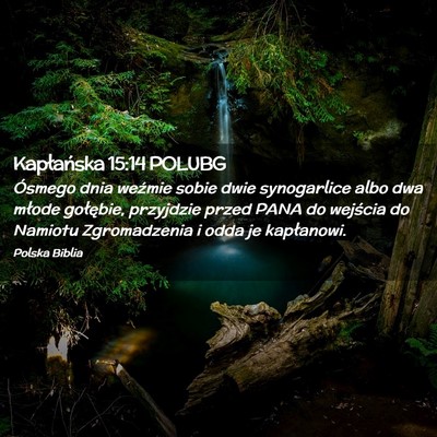 Picture 02 - Kapłańska 15:14 POLUBG - Ósmego dnia weźmie sobie dwie synogarlice albo - Bible Verse Picture